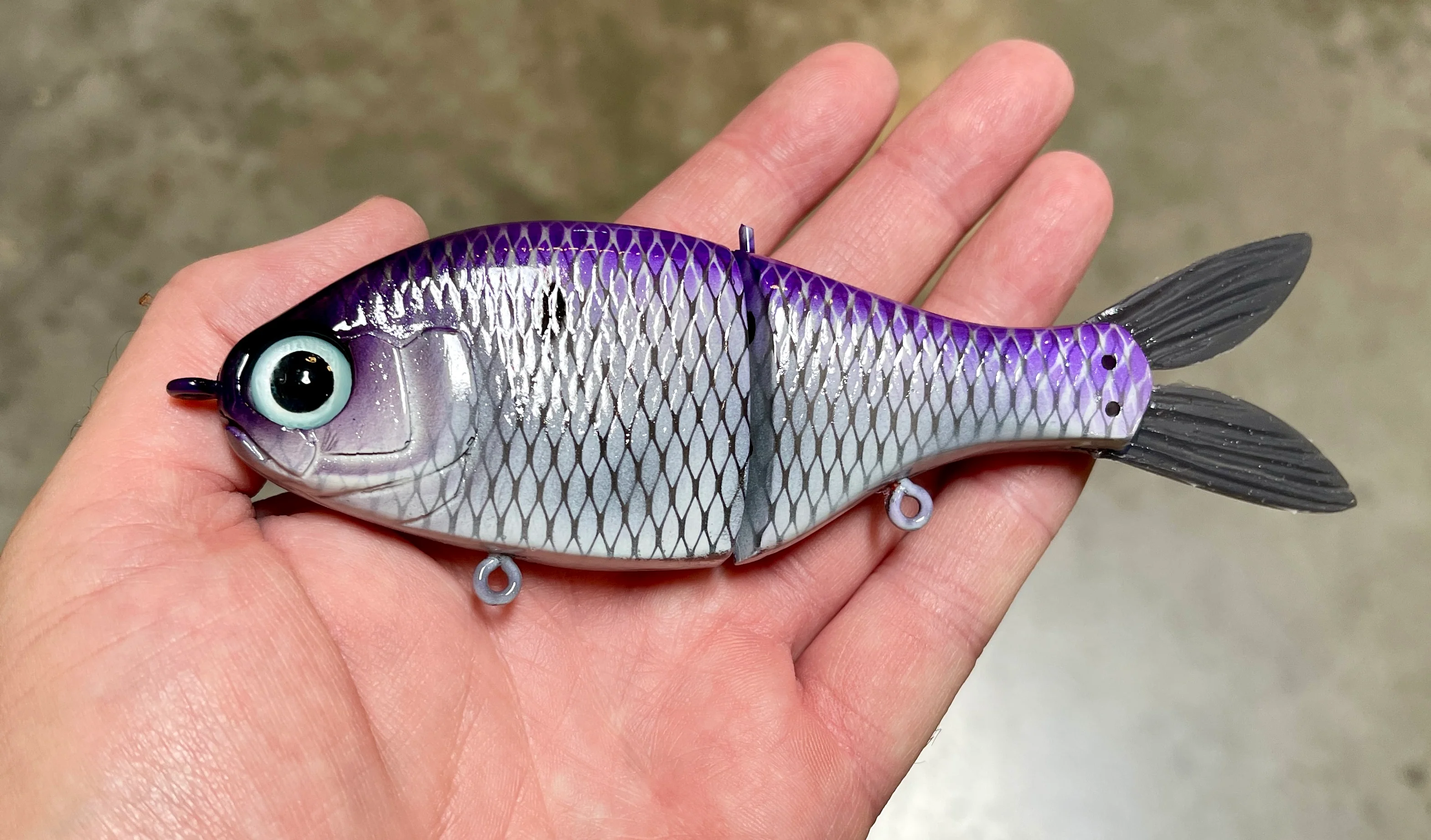Junior Shad - Image 6