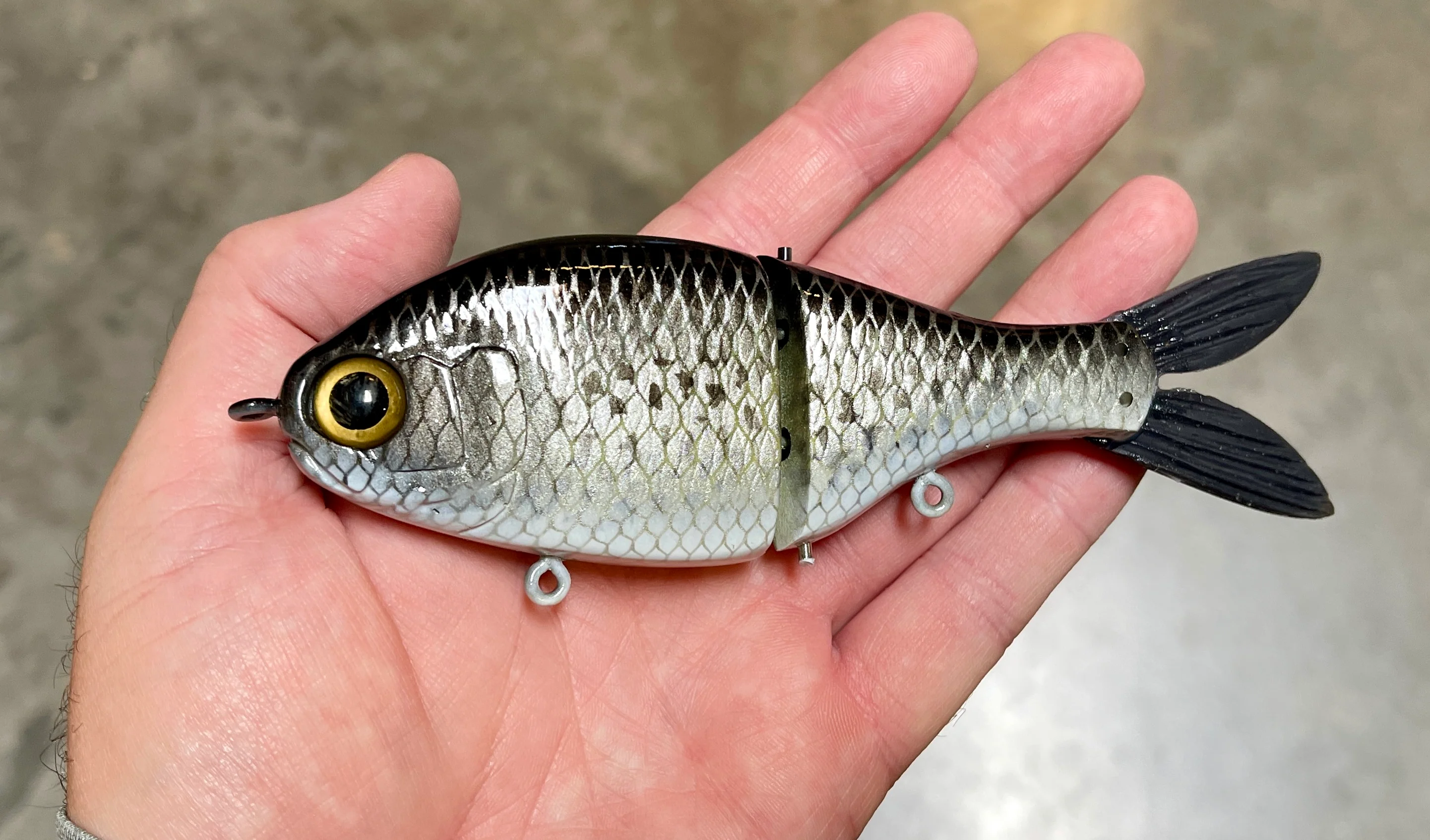 Junior Shad - Image 7