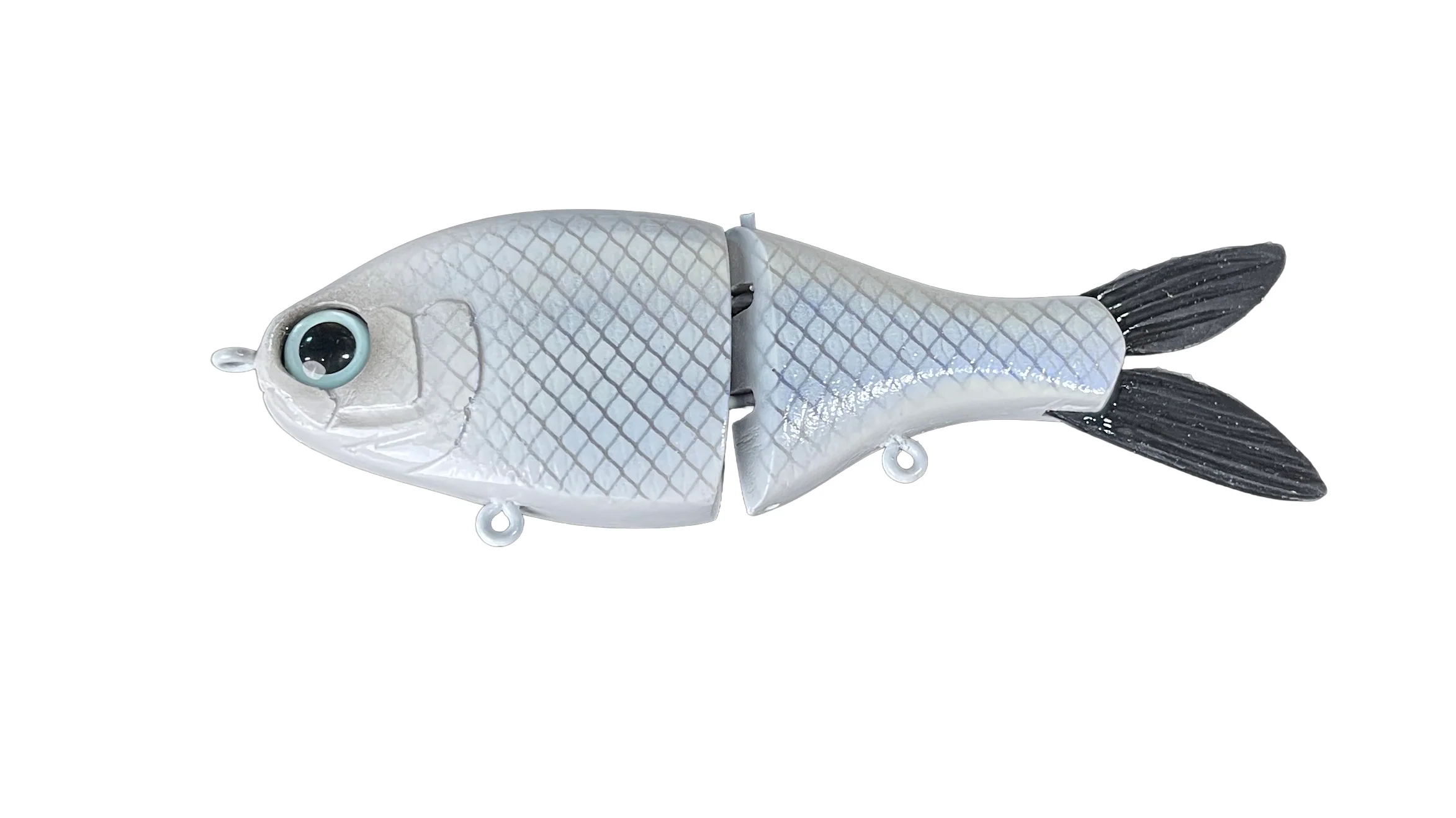 Junior Shad - Image 8