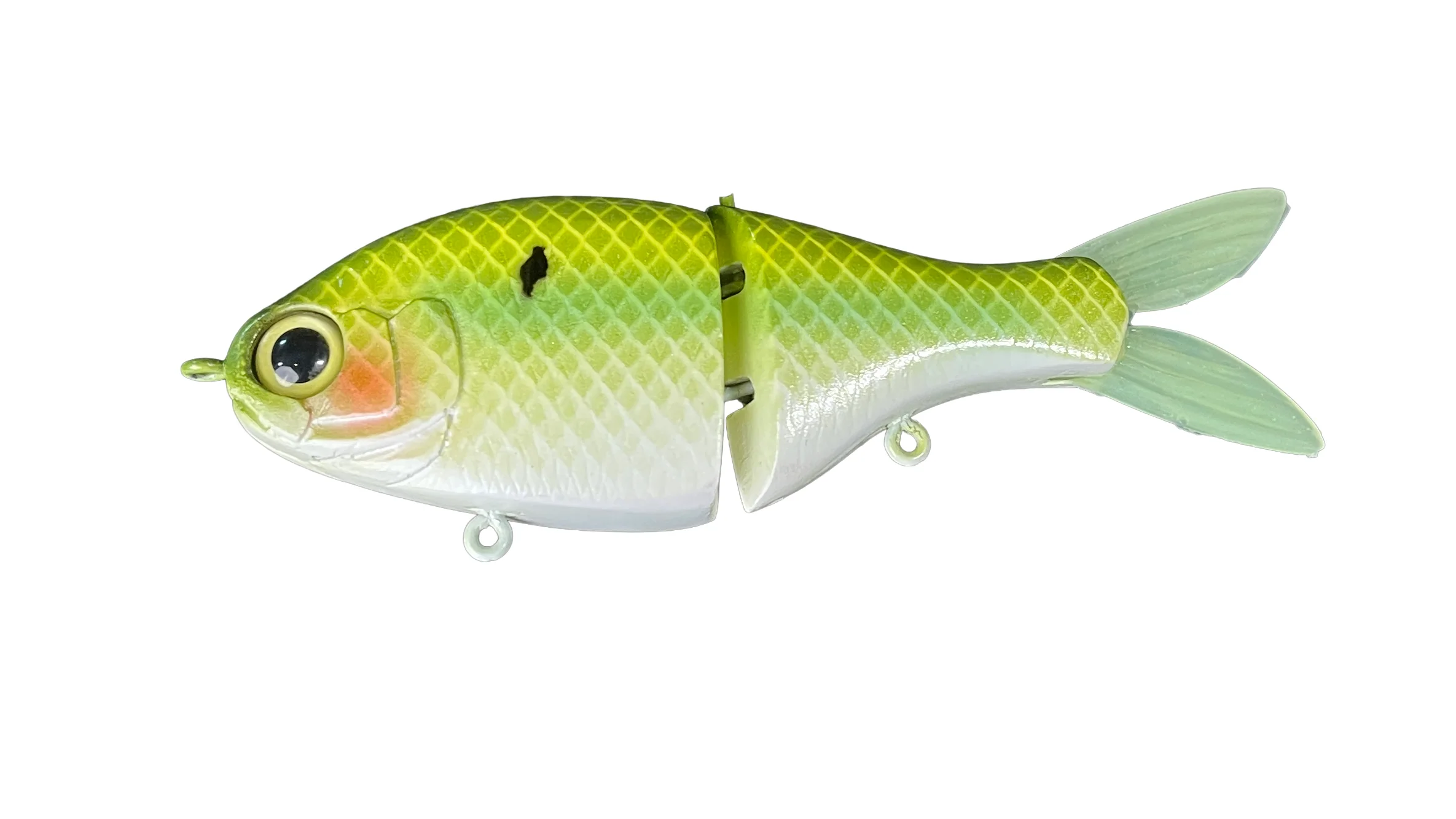 Junior Shad - Image 9
