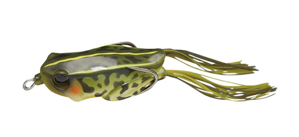 Kaera Frog - Image 10