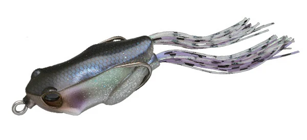 Kaera Frog - Image 6