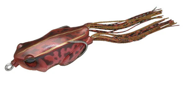 Kaera Frog - Image 9