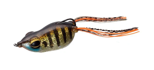 Kicker Frog Jr - Image 3