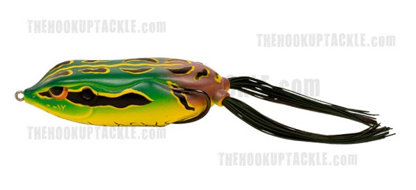 King Daddy Frog - Image 7