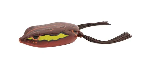 King Daddy Frog - Image 8
