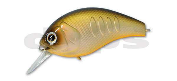 Korrigan Magnum - Image 3