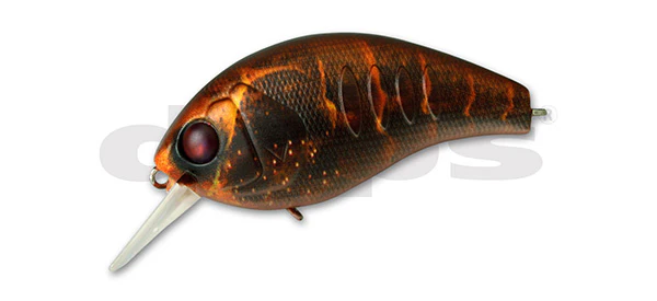 Korrigan Magnum - Image 6