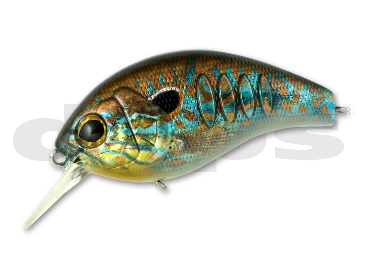 Korrigan Magnum - Image 7