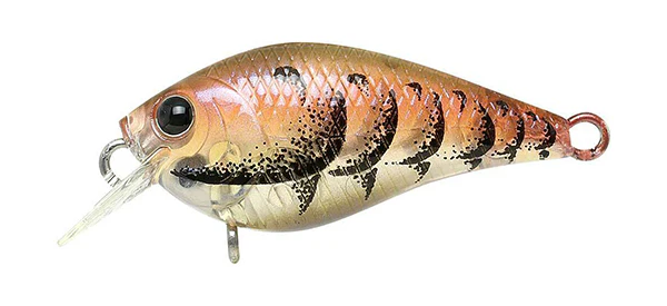 LC 0.3 Crankbait - Image 4