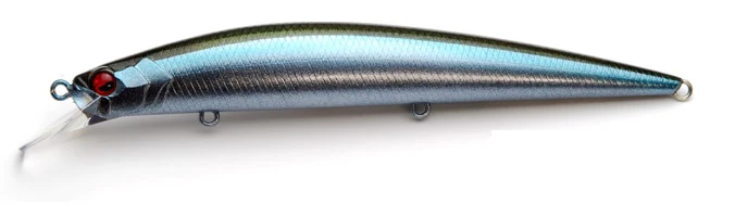 Level Minnow - Image 10