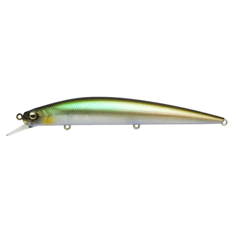 Level Minnow - Image 3