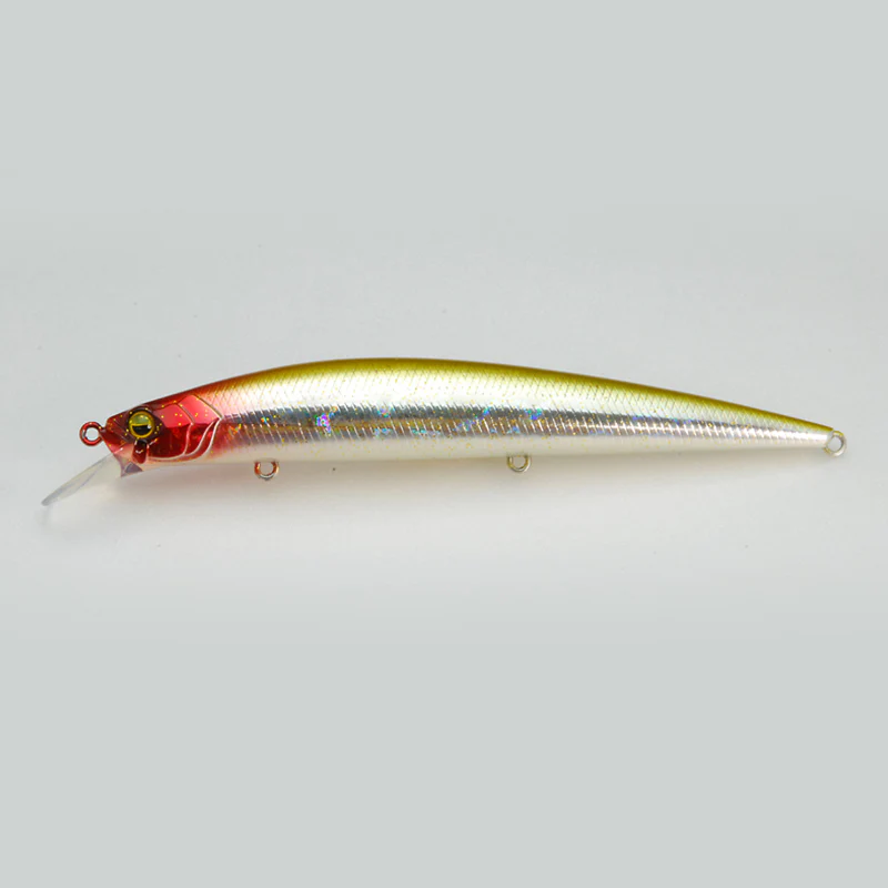 Level Minnow - Image 5