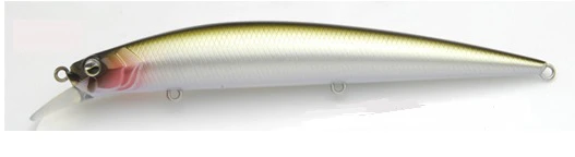 Level Minnow - Image 7