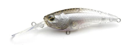 Level Shad - Image 10