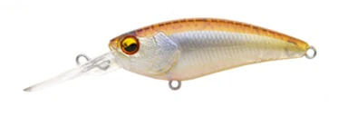 Level Shad - Image 11