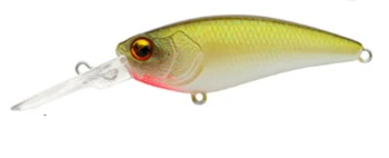 Level Shad - Image 12