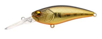 Level Shad - Image 13