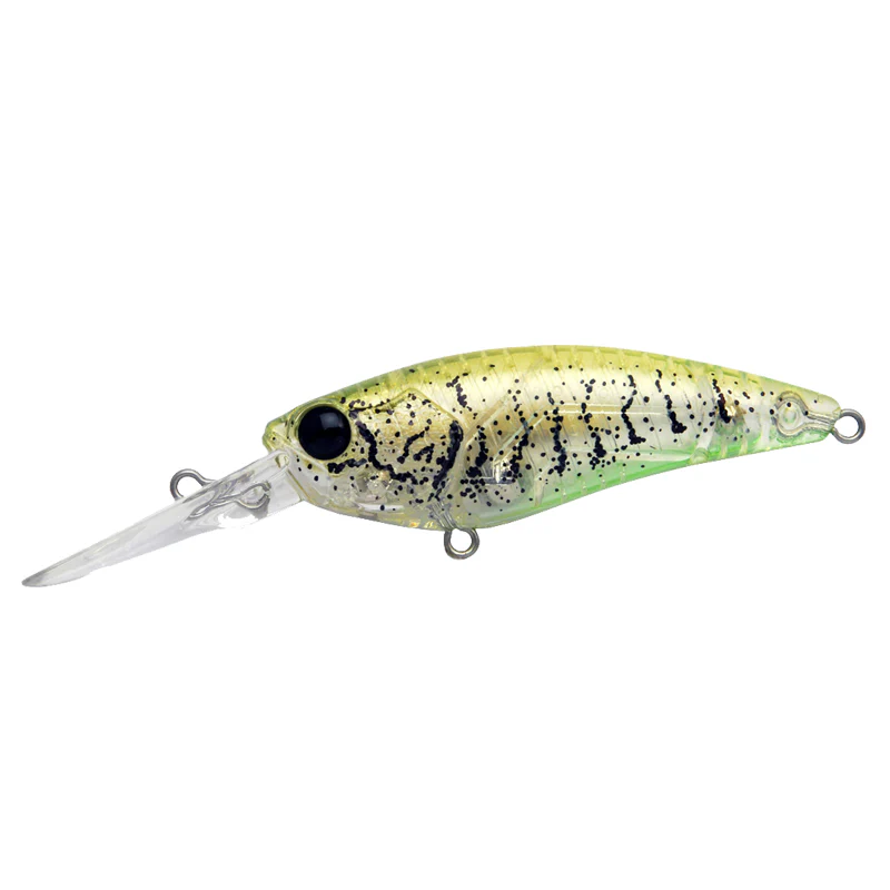 Level Shad - Image 2