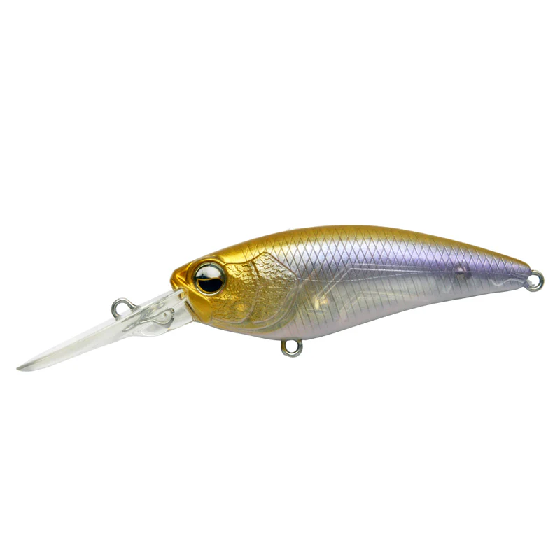 Level Shad - Image 3