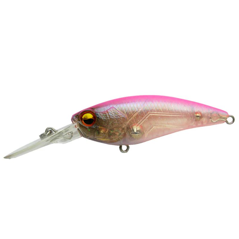 Level Shad - Image 4