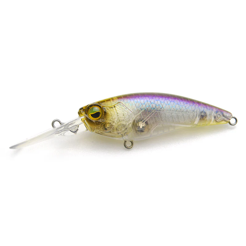 Level Shad - Image 5