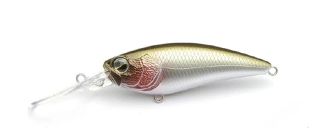 Level Shad - Image 7