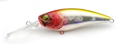 Level Shad - Image 8