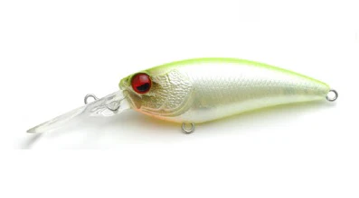 Level Shad - Image 9