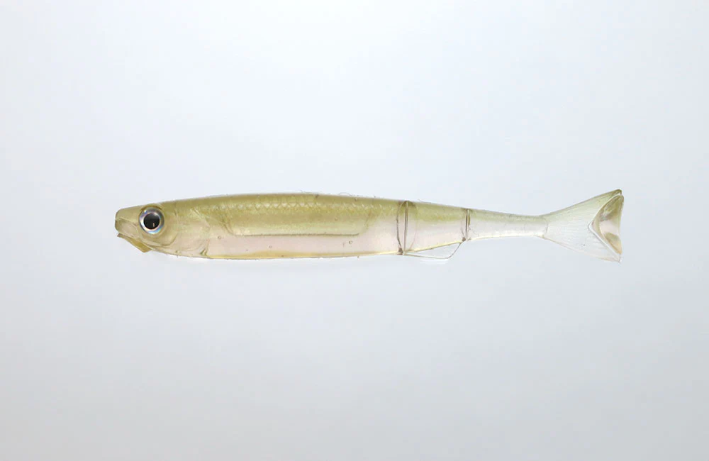 Liar Minnow - Image 7