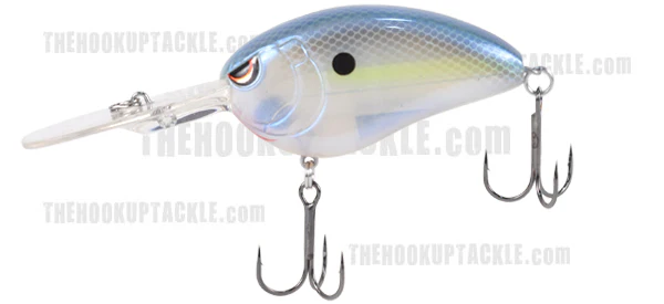 Little John DD - Image 10