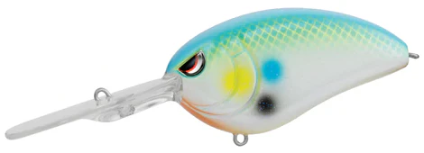 Little John DD - Image 16