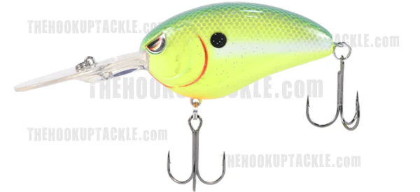 Little John DD - Image 3