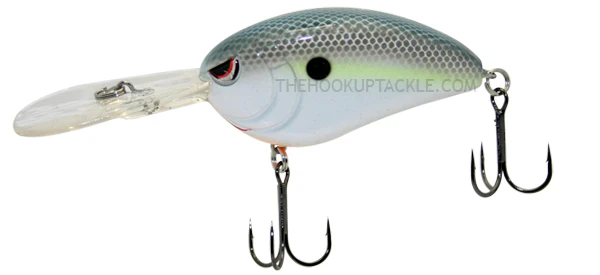 Little John DD - Image 8