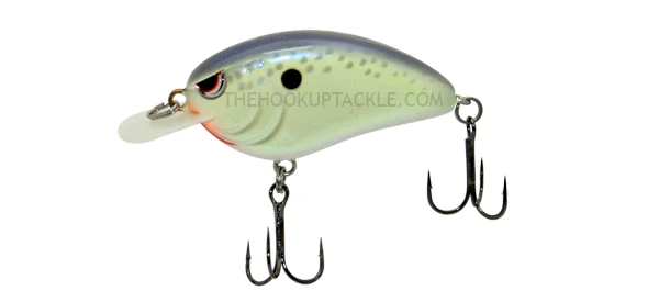 Little John MD - Image 3