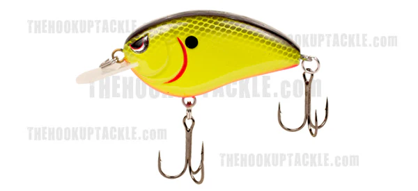 Little John MD - Image 4
