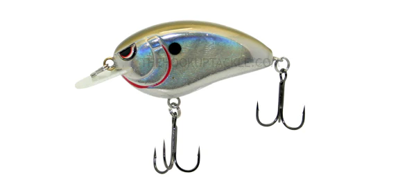 Little John MD - Image 7
