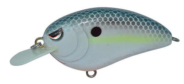 Little John Type-R - Image 5
