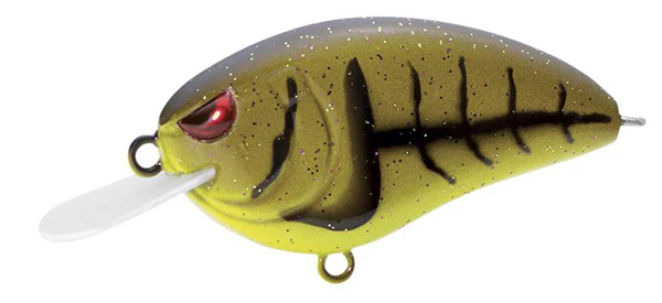 Little John Type-R - Image 6