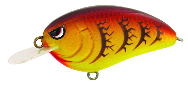 Little John Type-R - Image 8