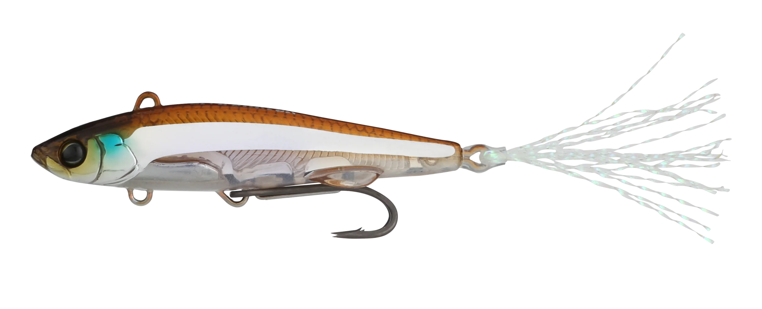 Live Darter