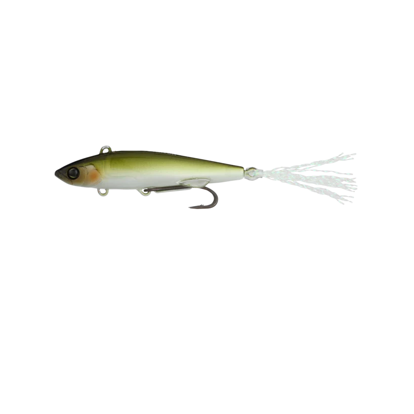 Live Darter - Image 3
