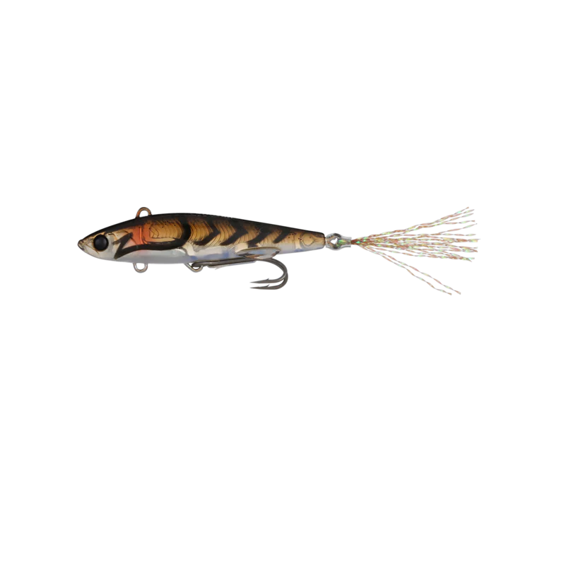 Live Darter - Image 4