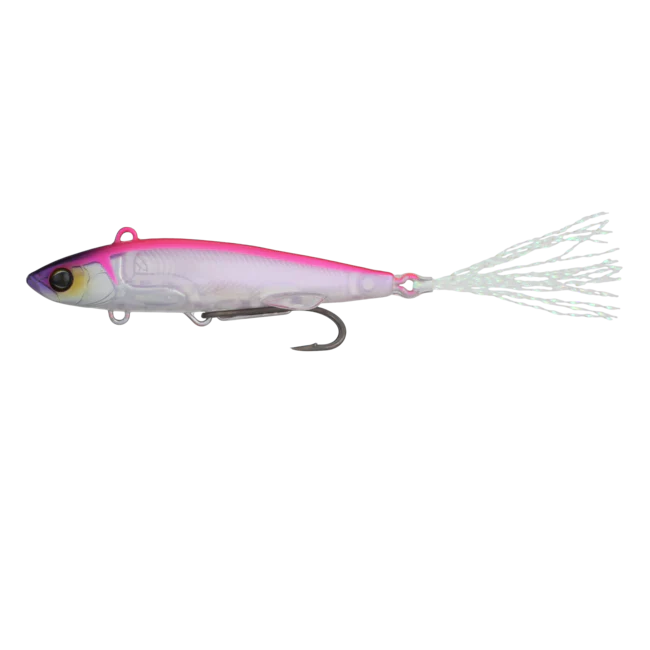 Live Darter - Image 6