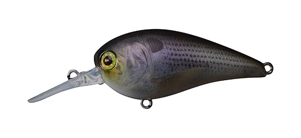 MC60 MR - Image 7