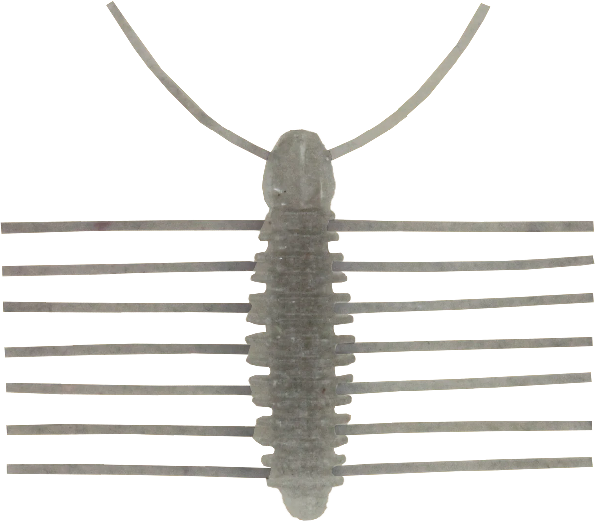 Miharamushi Pellet Bug - Image 5