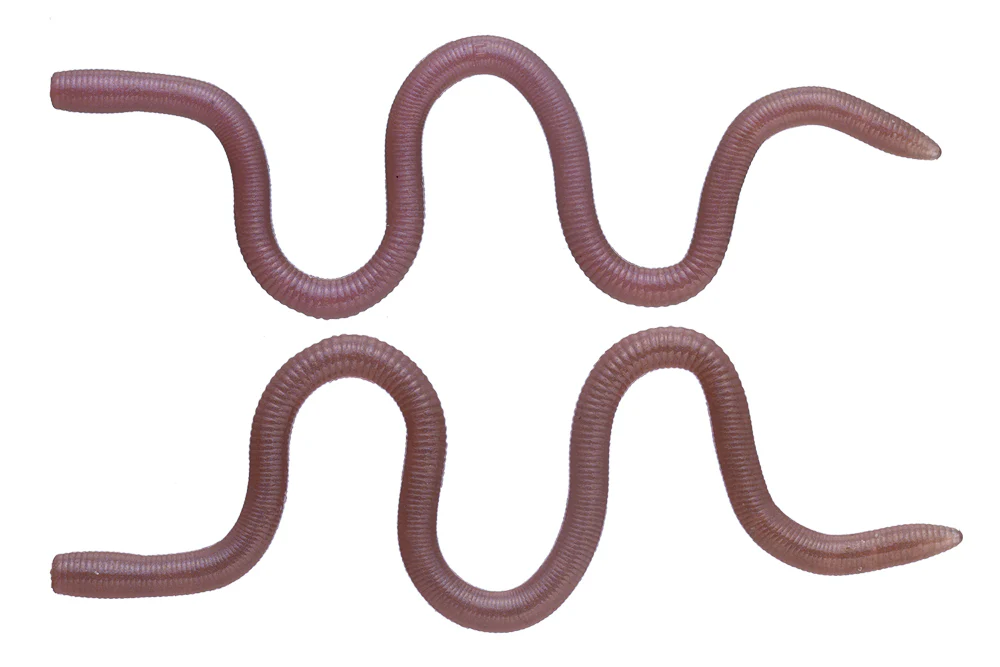 MMZ - Image 10