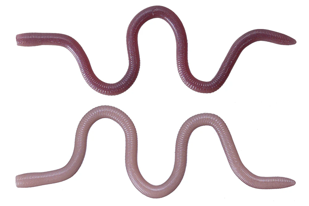 MMZ - Image 6