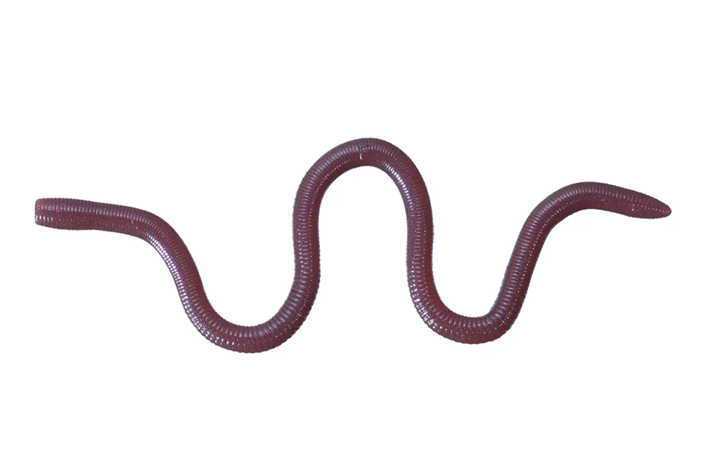 MMZ - Image 7