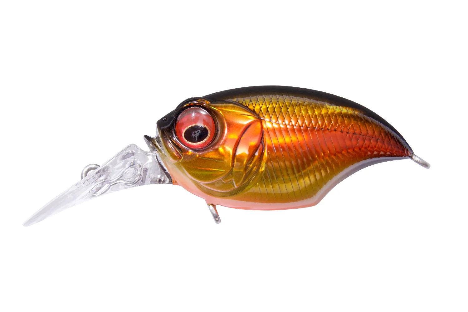 MR-X Griffon - Image 11